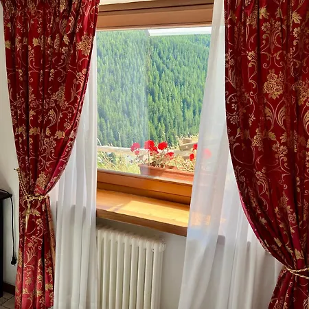 Buenavista 게스트하우스