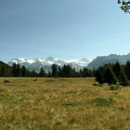 Buenavista 게스트하우스