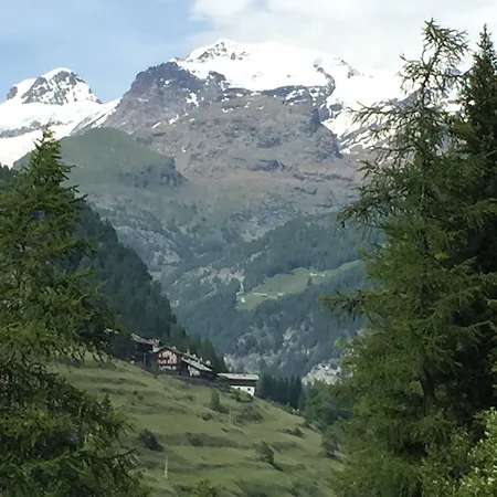 게스트하우스 Buenavista 3*