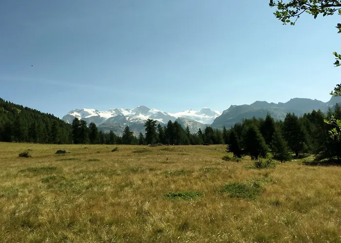 Buenavista בית הארחה